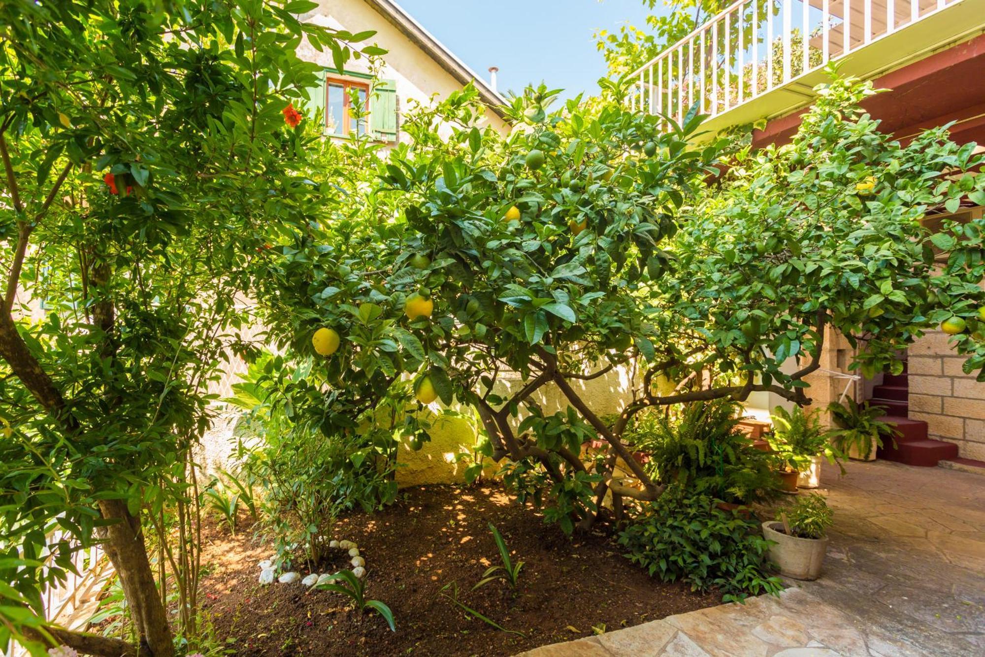 Appartement Afrodita